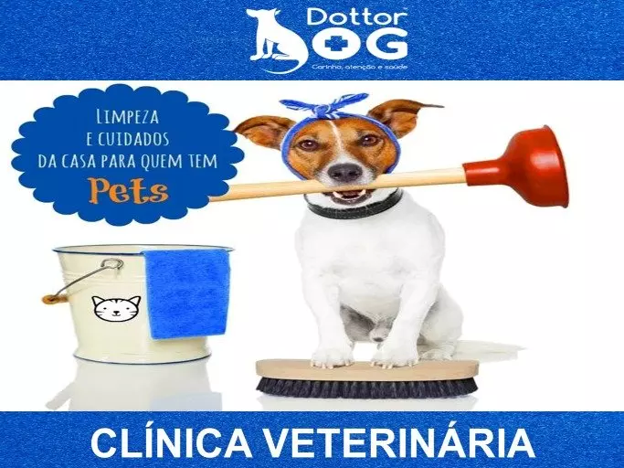 ATENÇÃO AOS RISCOS DE INTOXICAÇÃO DE PETS COM PRODUTOS DE LIMPEZA !