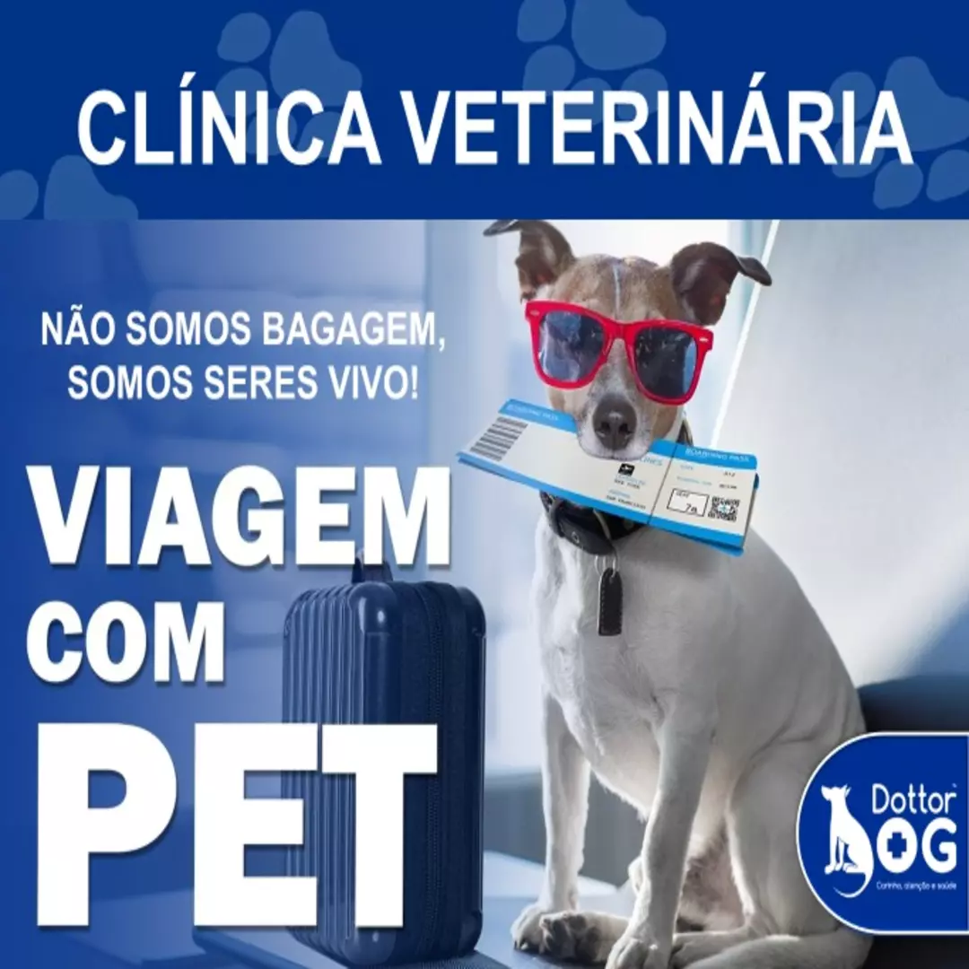 QUANDO VIAJAR COM SEU PET, NÃO DEIXE ELE VIAJAR NO PORÃO DO AVIÃO