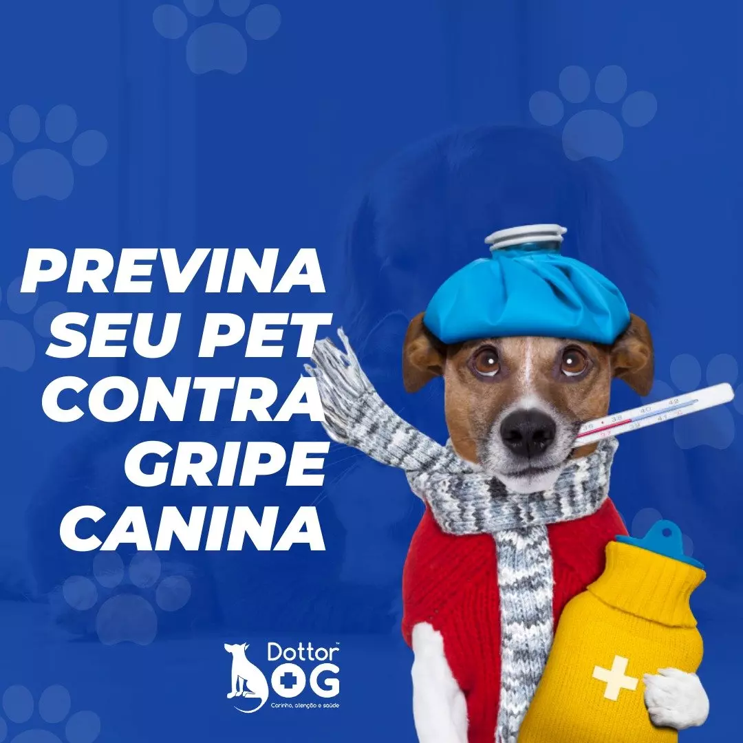 PREVINA SEU PET CONTRA A GRIPE CANINA