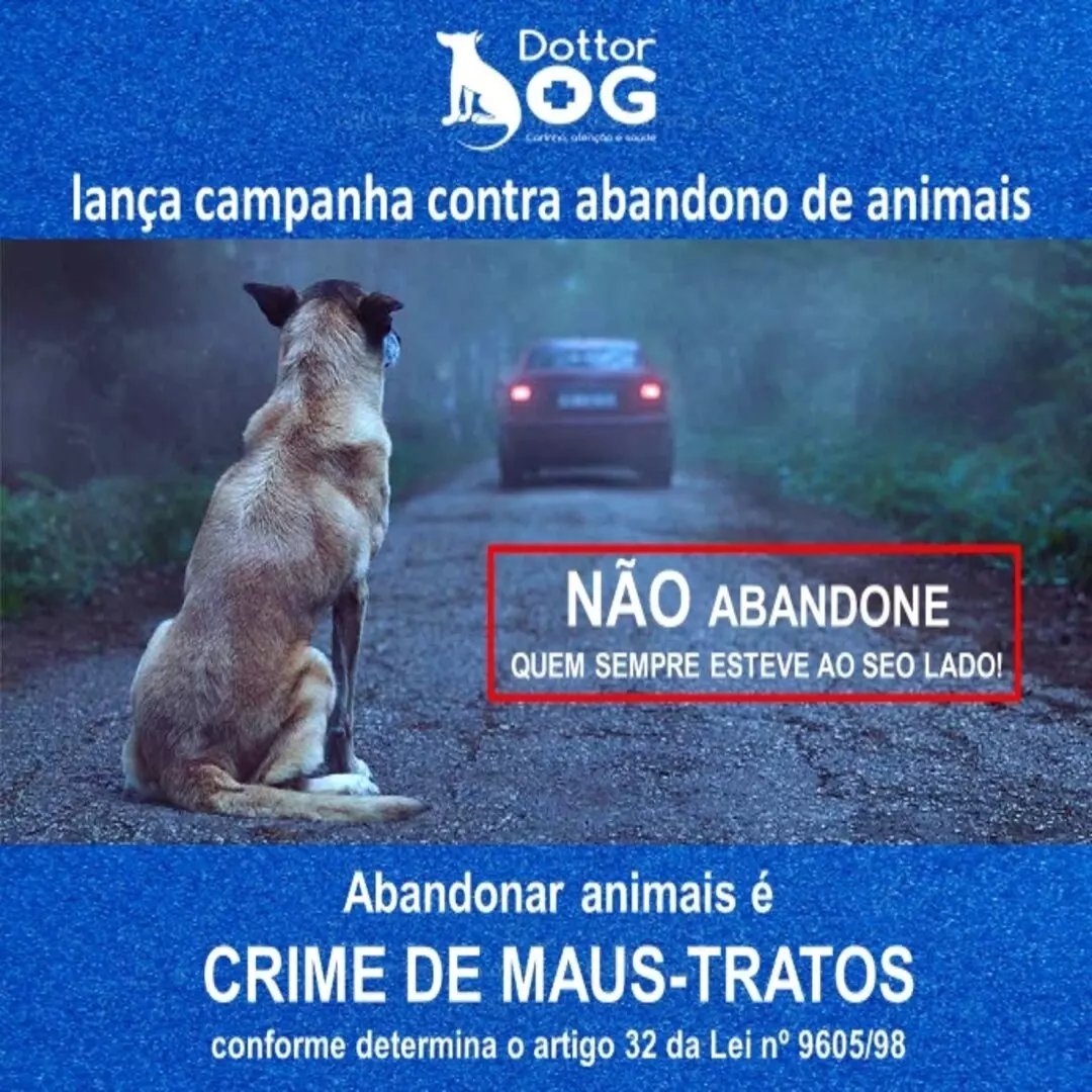 JAMAIS ABANDONE QUEM SEMPRE ESTEVE AO SEU LADO. DENUNCIE CASOS DE ABANDONO!!!