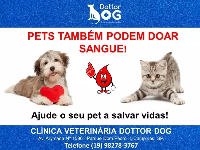 FAÇA DE SEU PET UM DOADOR DE SANGUE, SALVE VIDAS E DOE SANGUE VOCÊ TAMBÉM!