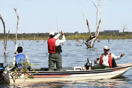 Pescador amador ou esportivo têm nova e moderna carteirinha. Tem até QR Code