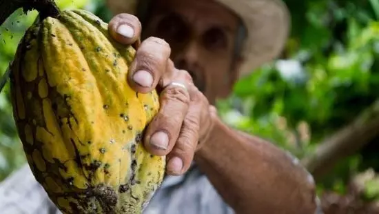 OPINIÃO - O papel da agricultura familiar na construção de um projeto de desenvolvimento sustentável