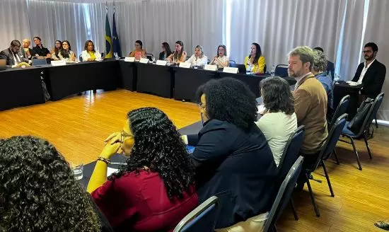 PECUÁRIA RESPONSÁVEL - Assocon participa de debate sobre sustentabilidade e direitos humanos, promovido pela Delegação Europeia no Brasil