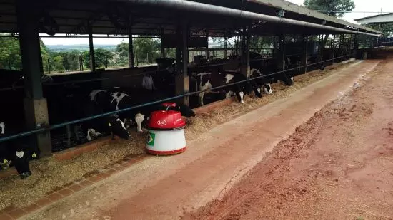 TECNOLOGIA - Produtores de Goiás investem em automação da pecuária de leite