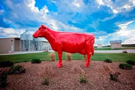 RED COW – Programa da Lely tem primeira fazenda de leite do Brasil