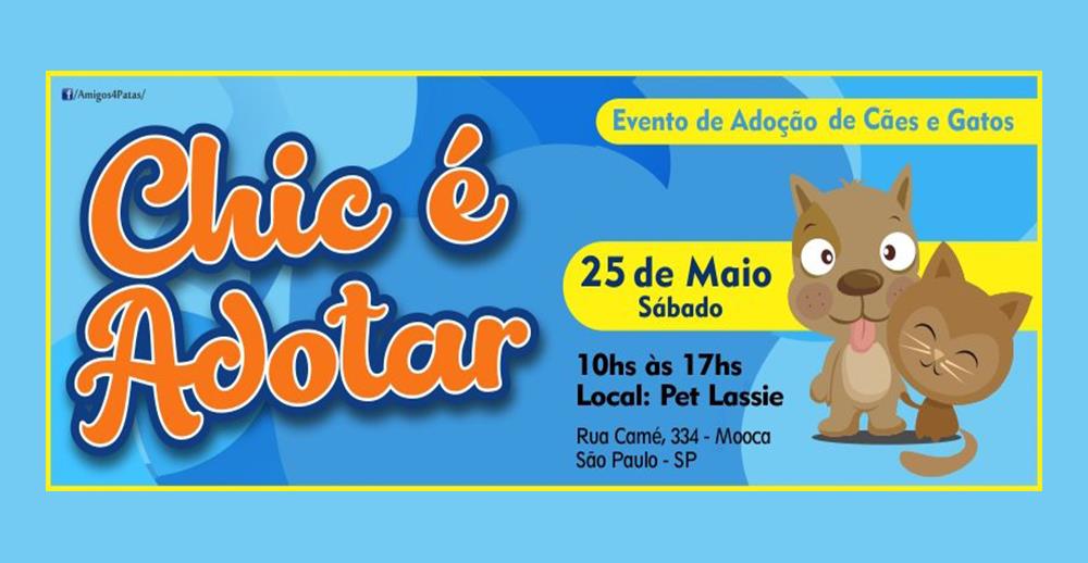 Evento de Adoção do Projeto Amigos 4 Patas na Mooca