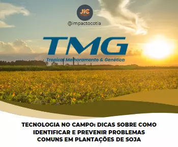 Tecnologia no campo: dicas sobre como identificar e prevenir problemas comuns em plantações de soja