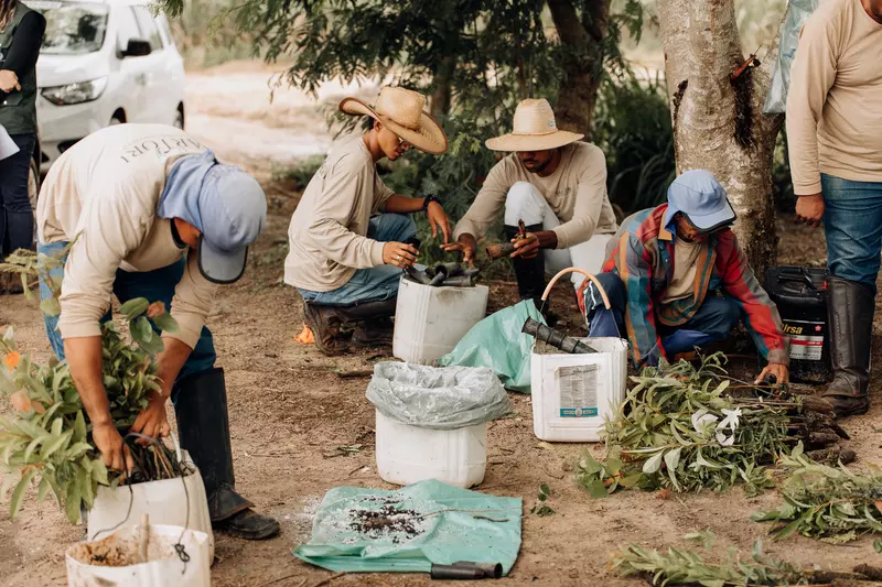 Recuperação de área ambiental contribui para fauna e flora, e produção de água para o oeste paulista