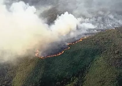 Bombeiros registram mais de 300 chamadas de incêndio em MG