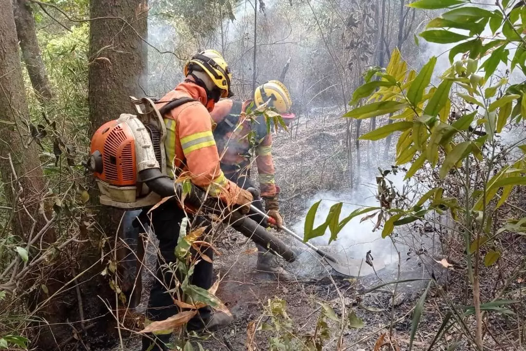 Bombeiros foram eficientes e apagaram o incêndio no Parque Estadual da Serra do Rola Moça