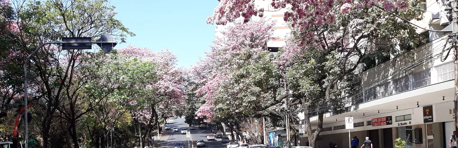 Está formado o “petit-comité” de recepção para festejar amanhã a chegada da Estação da Primavera