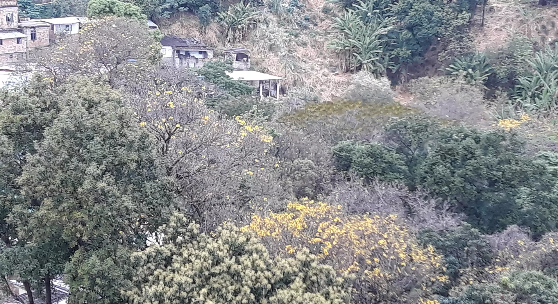 A primavera trouxe à capital, além da beleza das flores dos ipês, o início da temporada das águas