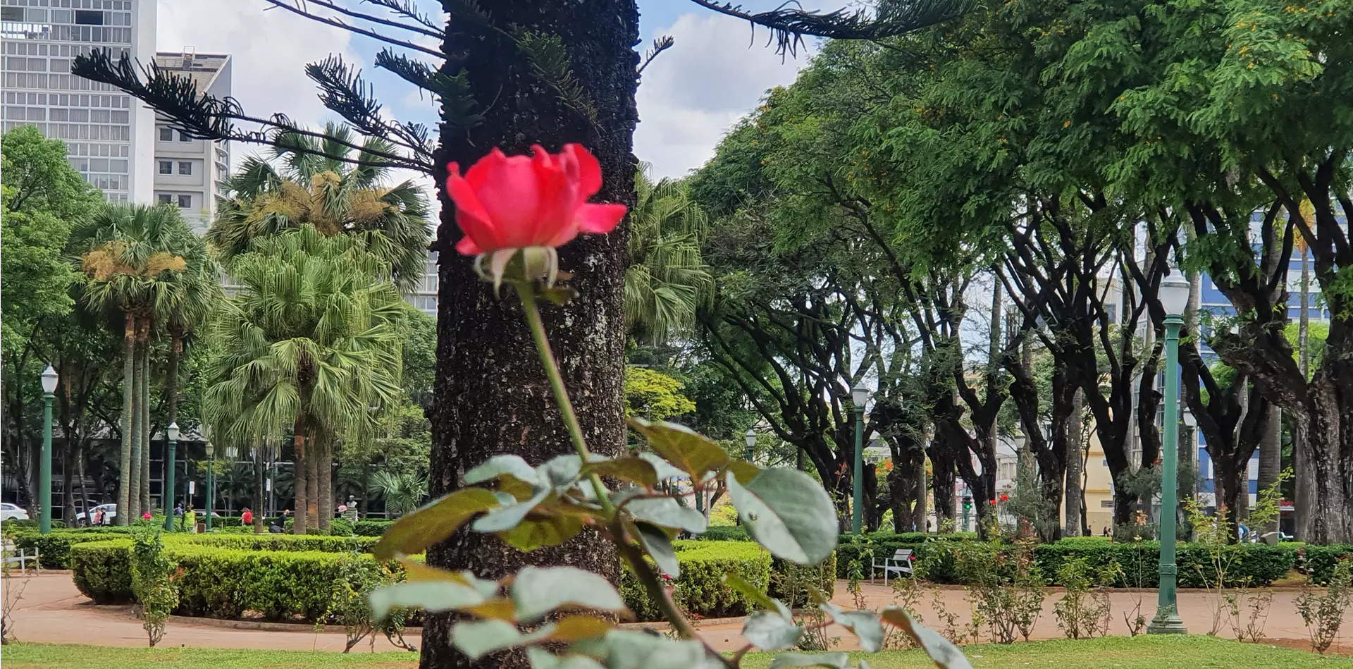 De hoje a dez dias, os brasileiros irão escolher, em 2°. Turno, quem vai governar o Brasil nos próximos quatro anos