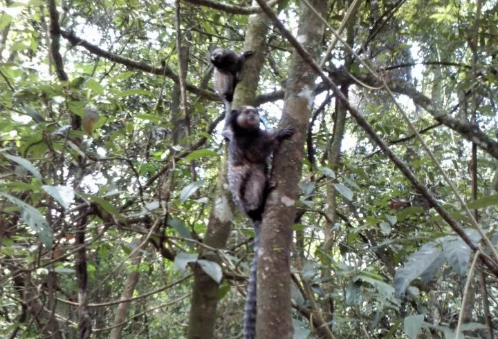 Parque das Mangabeiras é uma boa opção de lazer para passar o dia inteiro numa ótima!