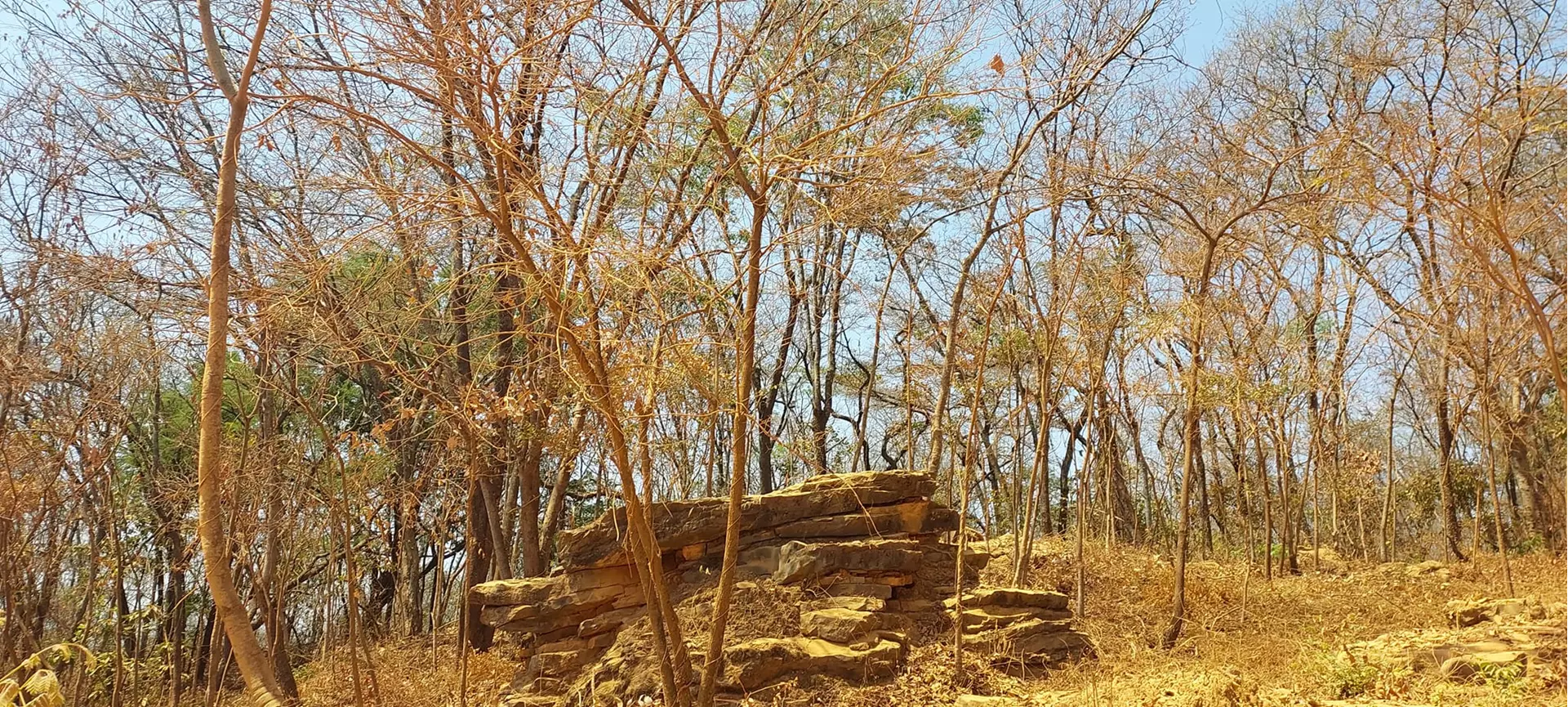 Indústria da seca ou a galinha dos ovos de ouro; o título calha bem para o Norte de Minas