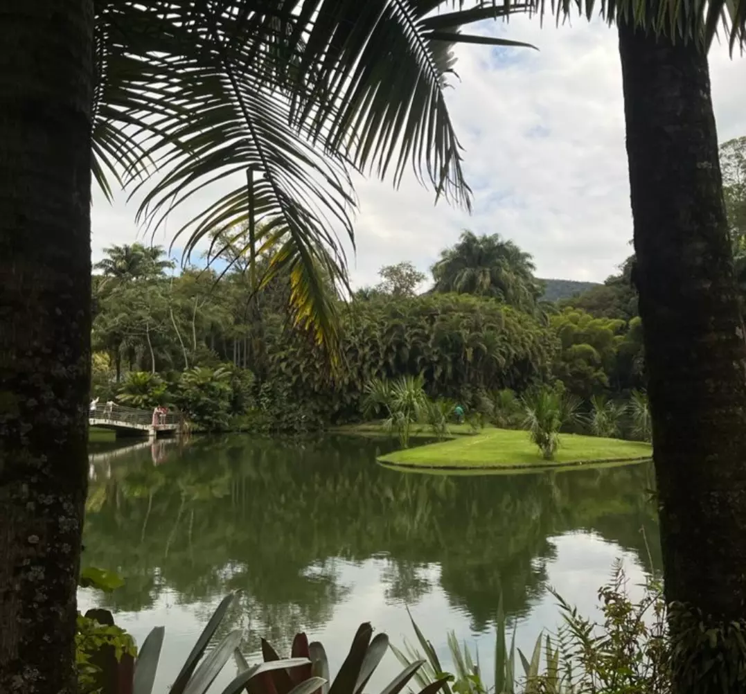 Inhotim, em Brumadinho, a natureza, a arte e a beleza se juntam para fazer o espetáculo