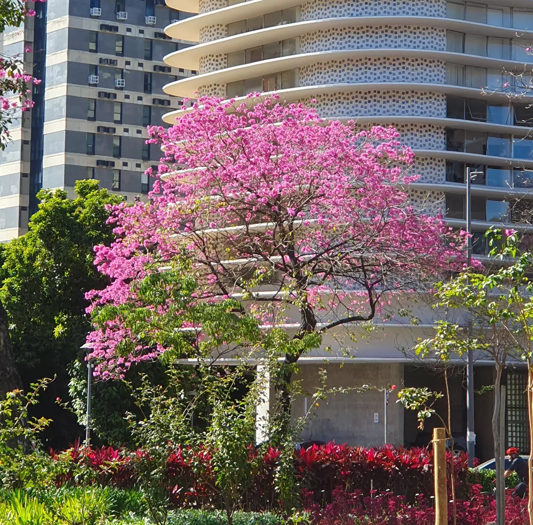 Ir ao Circuito Cultural da Praça da Liberdade é como viajar no tempo e no espaço