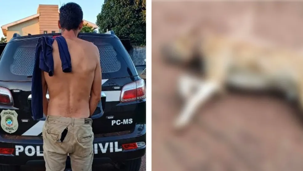 homem suspeito de atirar e matar cachorro é preso