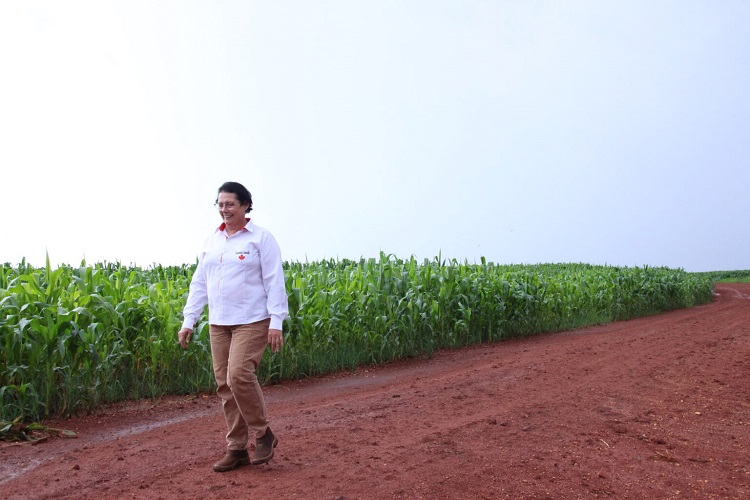 Produtora do DF é destaque em prêmio nacional de mulheres do agronegócio