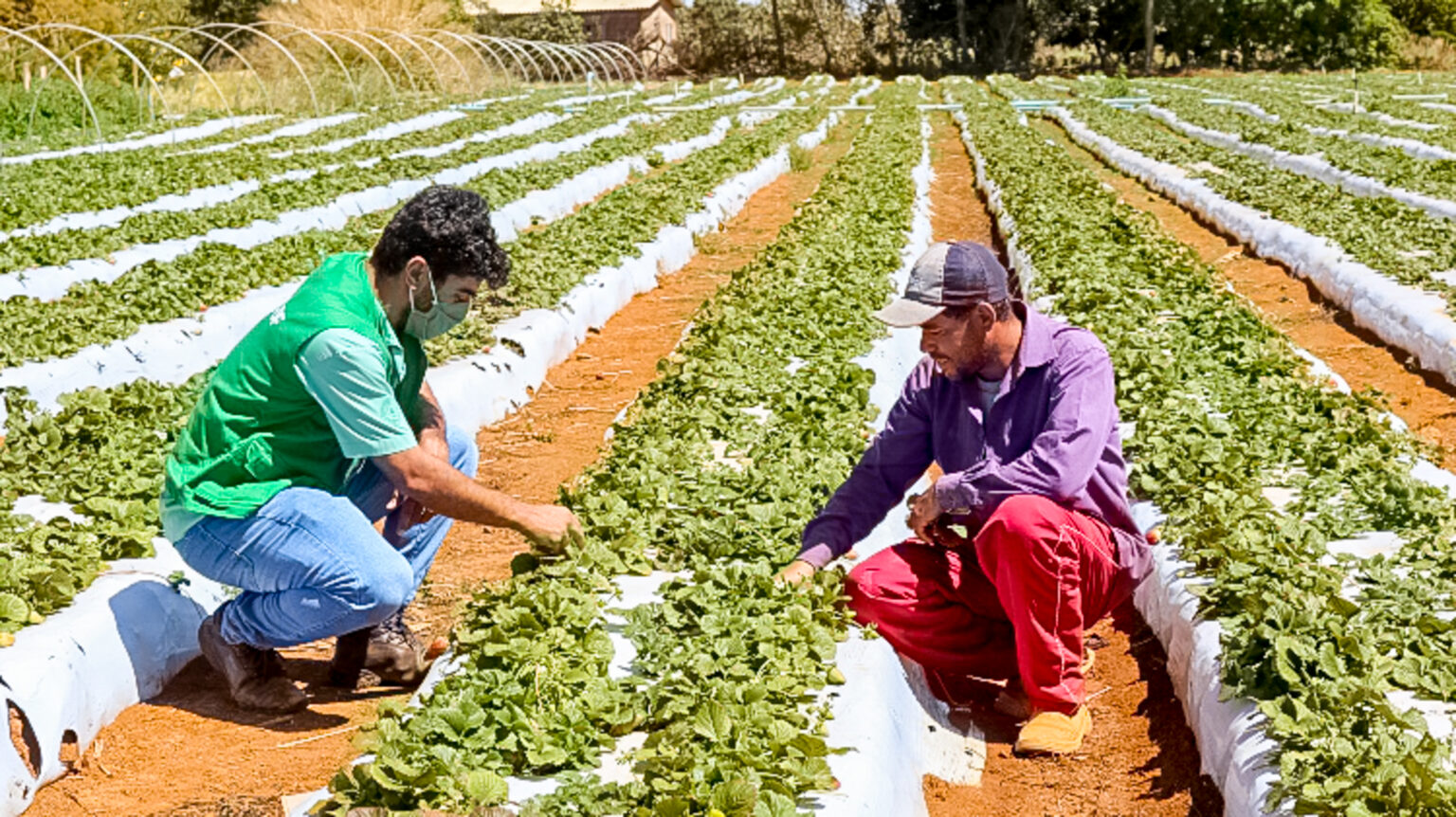 GDF investe R$ 3 milhões para instalar sistemas de saneamento na zona rural