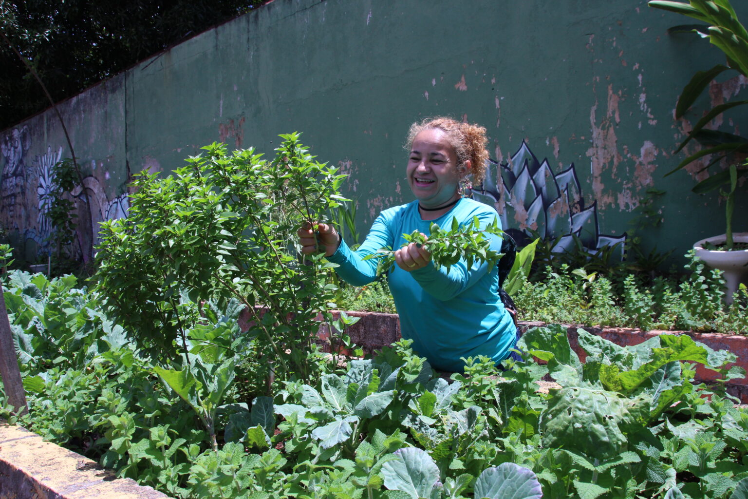 Hortas escolares garantem alimentação saudável e consciência ambiental