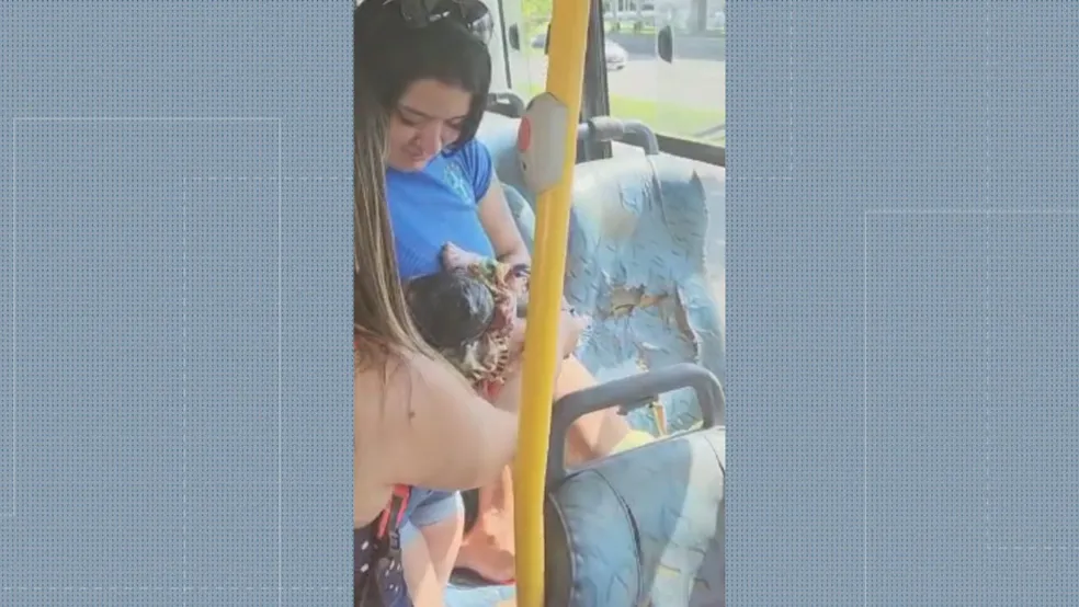 Mulher dá à luz dentro de ônibus