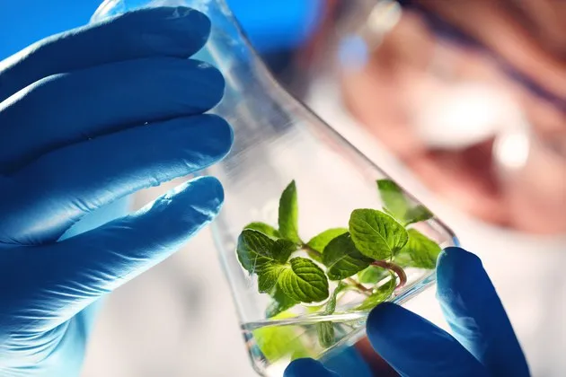 Brasil bate recorde no registro de bioinsumos e defensivos em 2025