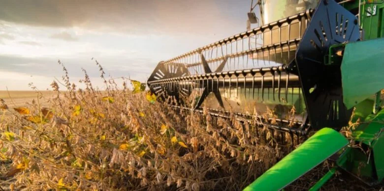 Colheita da soja avança em Lucas do Rio Verde e produtores entram na janela ideal para o plantio do algodão