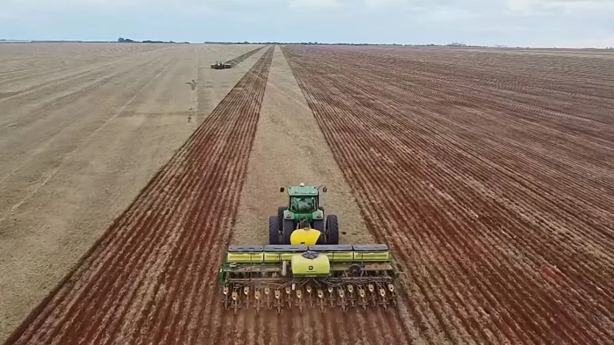 Produtividade da soja em MT cresce 9,2% na safra 25/26, aponta Imea