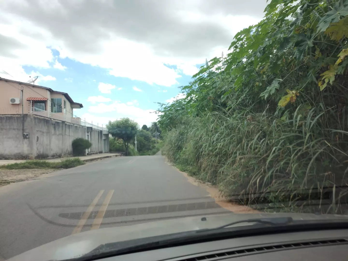 Gestão Zé Ailton Brasil se mostra inábil no tocante ao roço das Avenidas