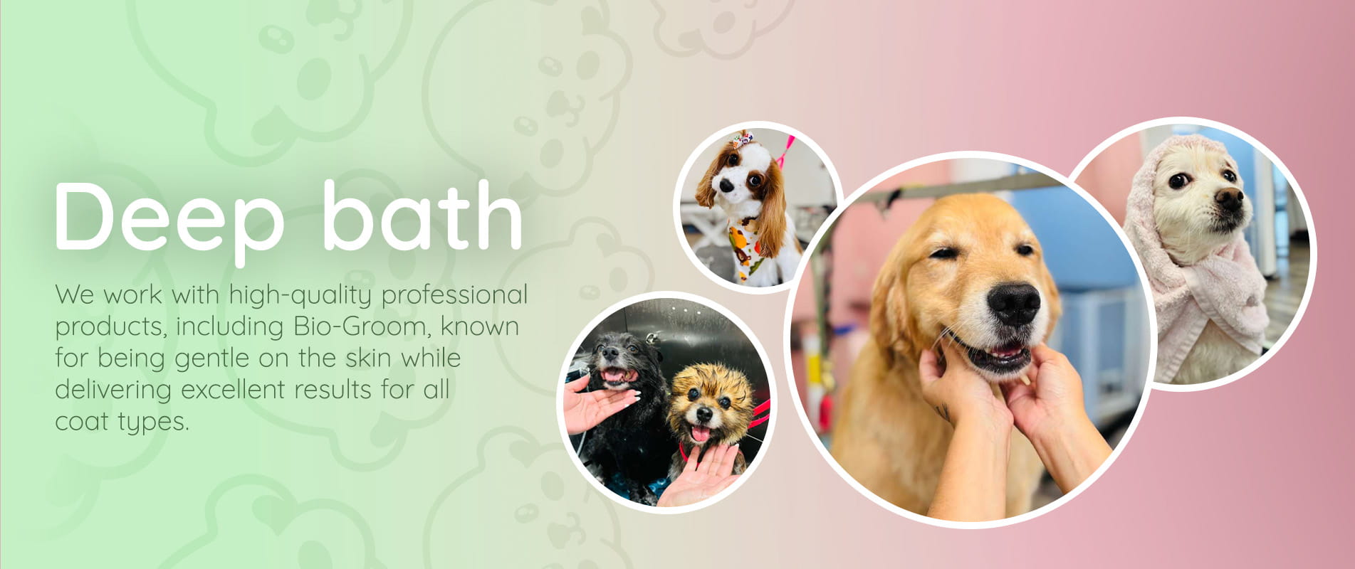 Archie Pet Care SPA